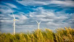 LG-Windmolens Rotterdam - fotograaf duurzaamheid-1