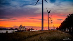 LG-Windmolens Rotterdam - fotograaf duurzaamheid-11