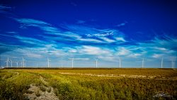 LG-Windmolens Rotterdam - fotograaf duurzaamheid-2