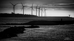 LG-Windmolens Rotterdam - fotograaf duurzaamheid-3