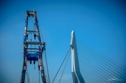 Port of Rotterdam - Erasmusbrug en bok