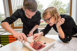 Redactioneel - onderwijs - Voortgezet onderwijs-13