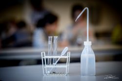 Redactioneel - onderwijs - Voortgezet onderwijs-15