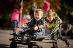 Redactioneel - onderwijs - lagere school-2