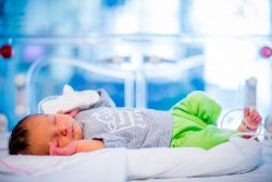 Baby in couveuse