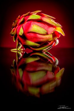 product-dragon-fruit-pitaya-1
