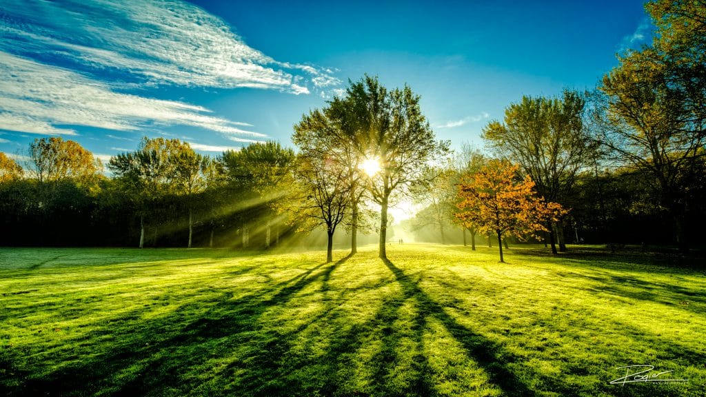 Een foto van twee bomen met de zon er door heen. Doet het altijd goed als je het hebt over de duurzaamheid van de fotograaf.