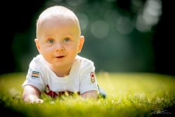 Familieportret: in het gras
