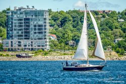 Condo Halifax