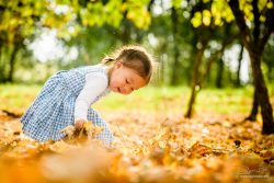 Familieportret in herfstbos bij rotterdam