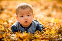 Familieportret in herfstbos bij rotterdam-3