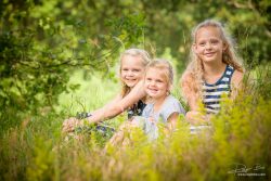 Familieportretten in Rockanje