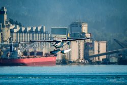 Seaplane landing in port of Vancouver