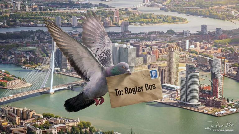 AI Postduif met brief voor de fotograaf