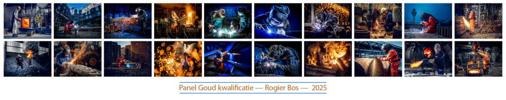 Panel Goud kwalificatie Rogier Bos - MPN Nov 2025